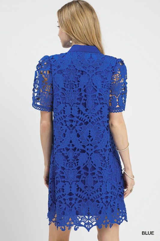 LACE OVERLAY DRESS