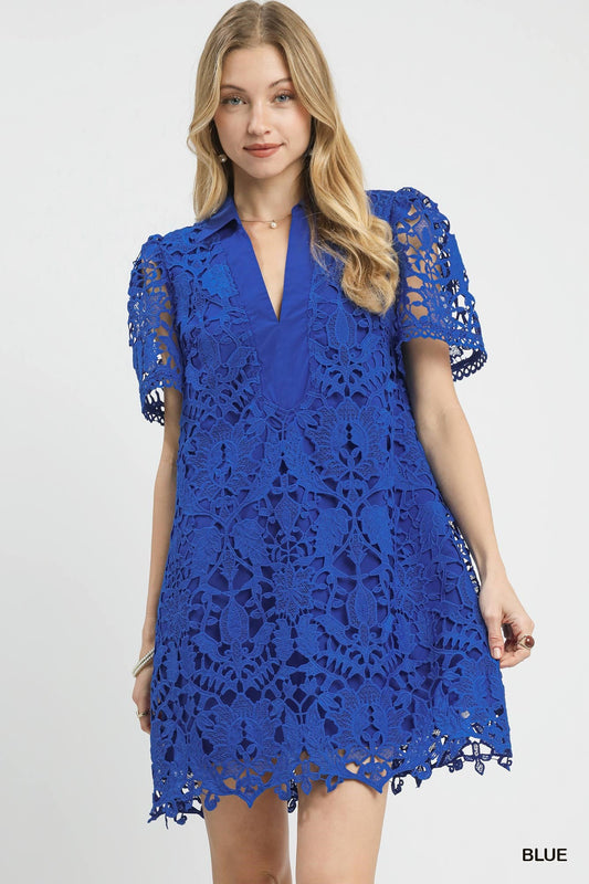 LACE OVERLAY DRESS